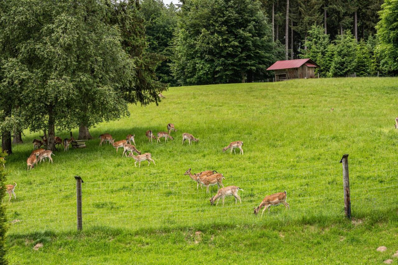 Ferienwohnung Urlaub auf dem Hirschhof Stehle Waldburg Exterior foto
